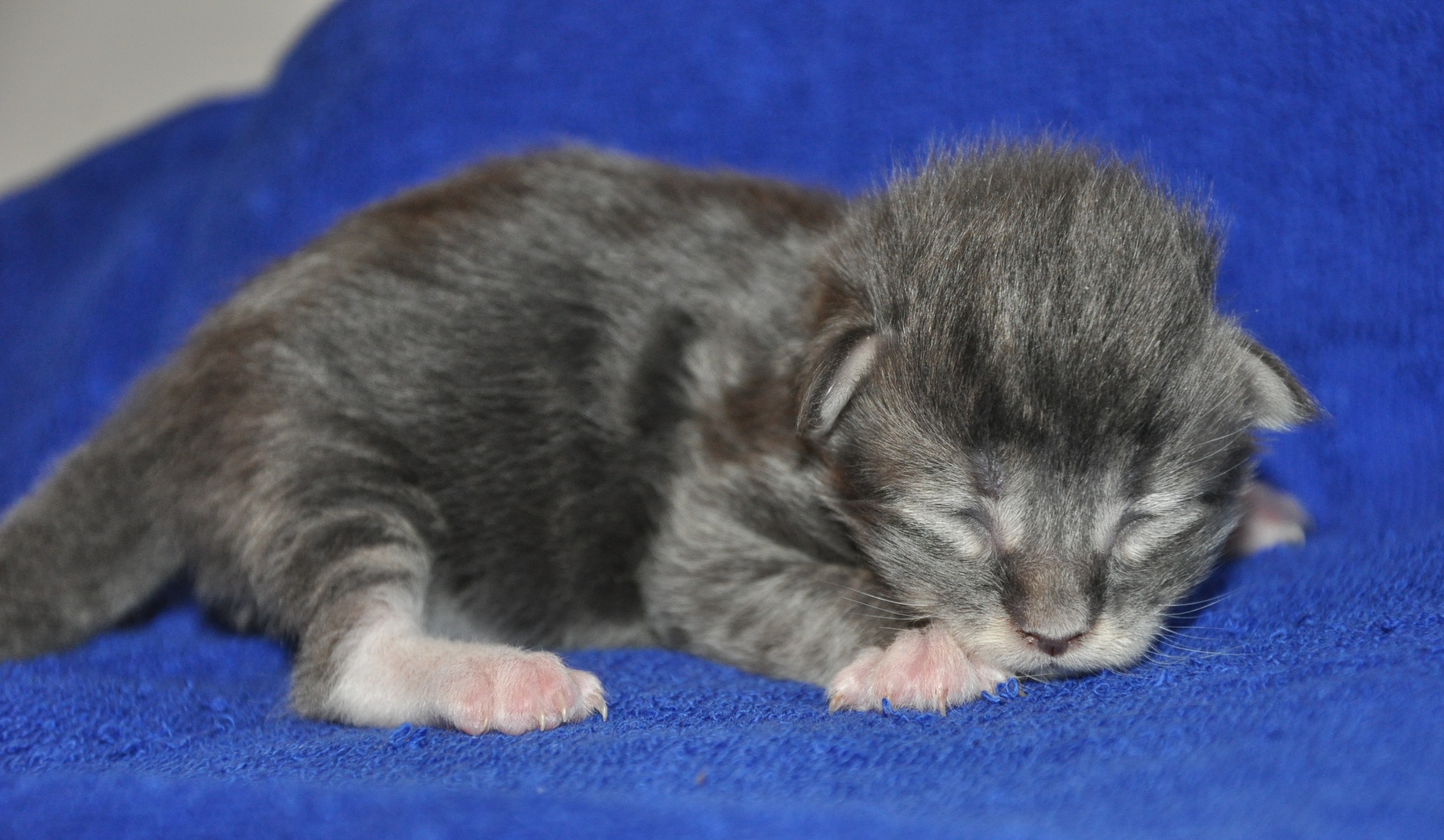 Ползу, сам незнаю куда