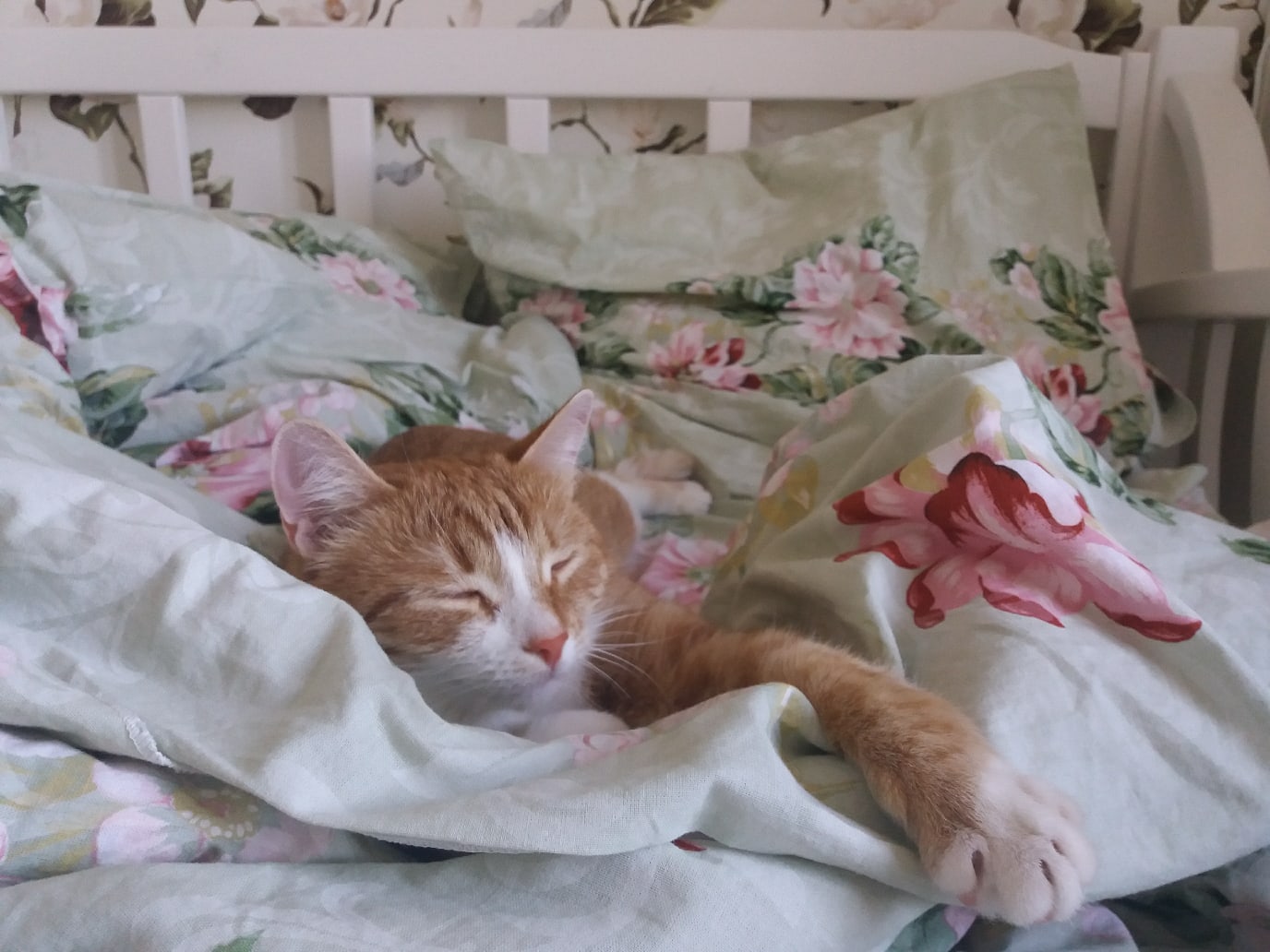 Балдеющий усатик