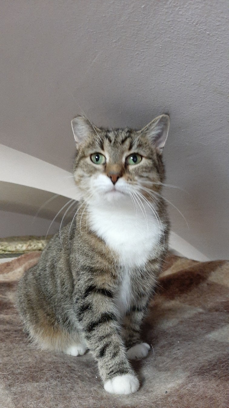 Чую запах кофе, пора бежать завтракать