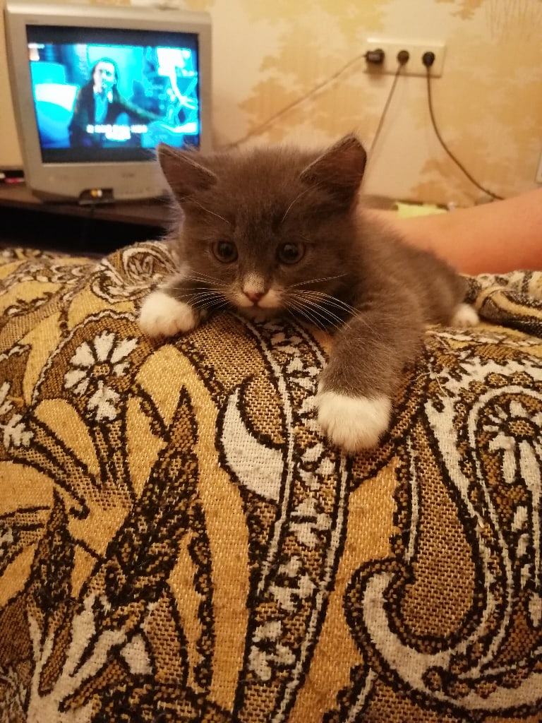 Игручий малышок