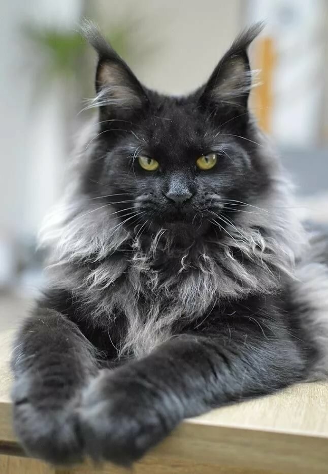 Серьёзный парень