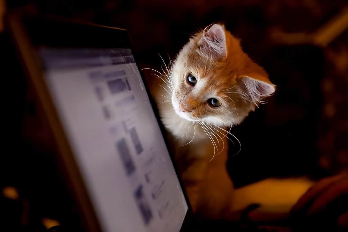 Чем это ты занимаешься