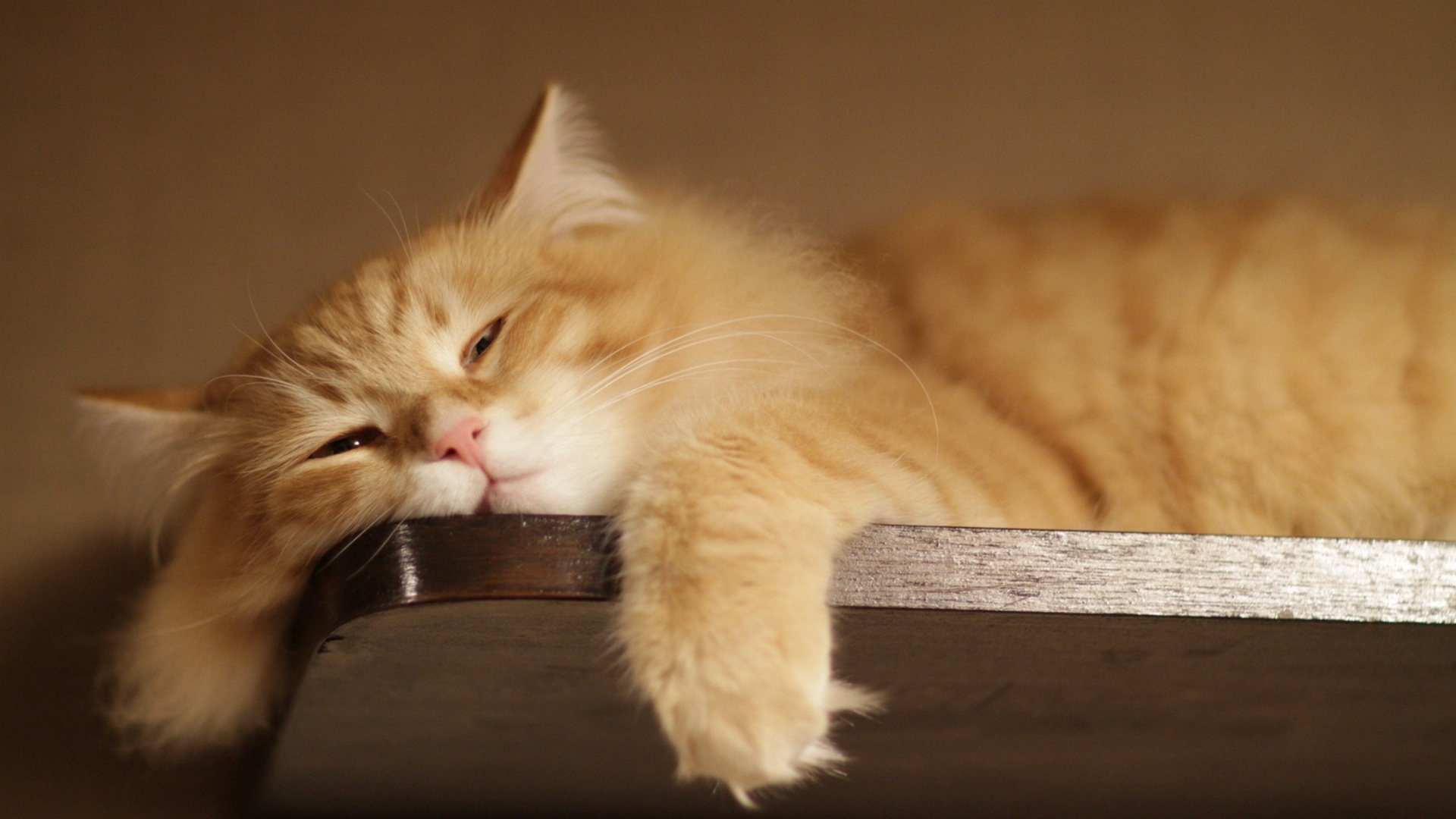 Я всё вижу и слышу