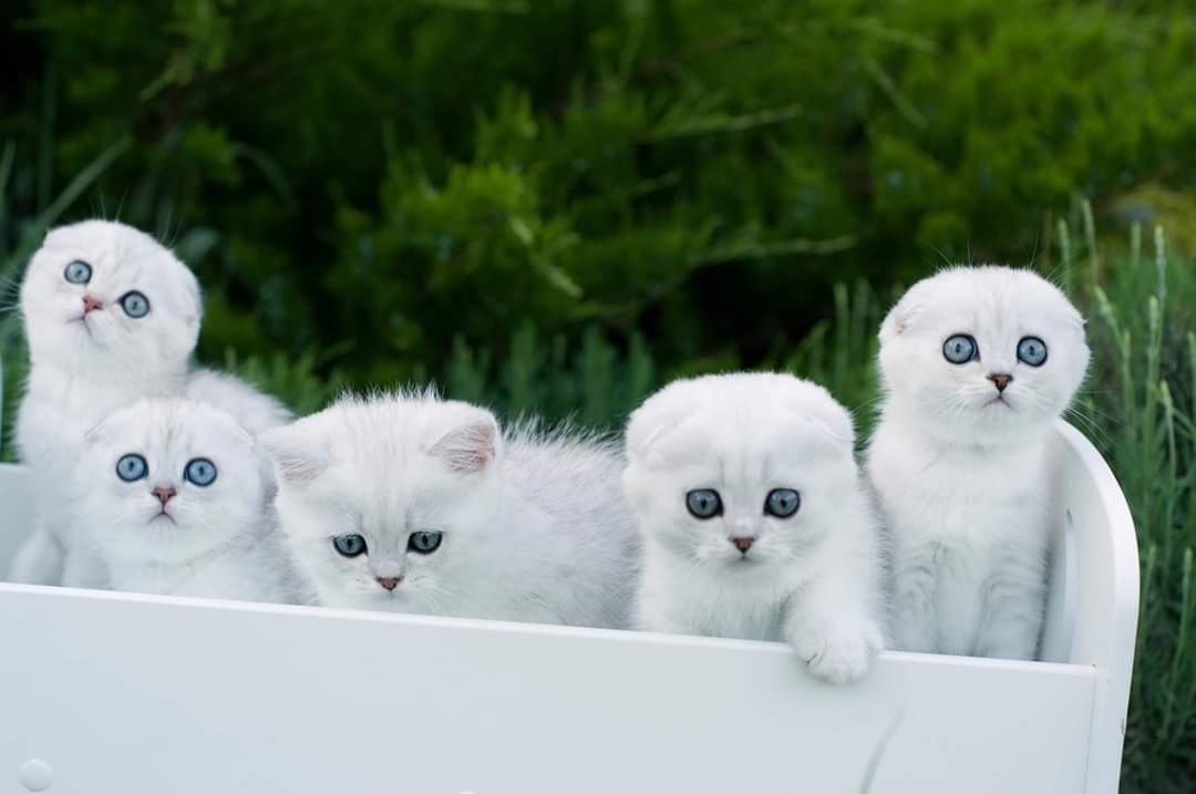 Первая поездка на природу