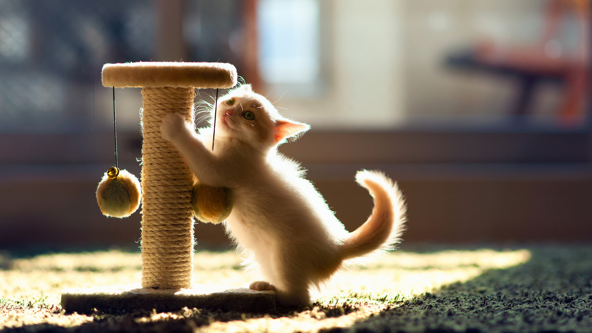 Ох и повеселюсь