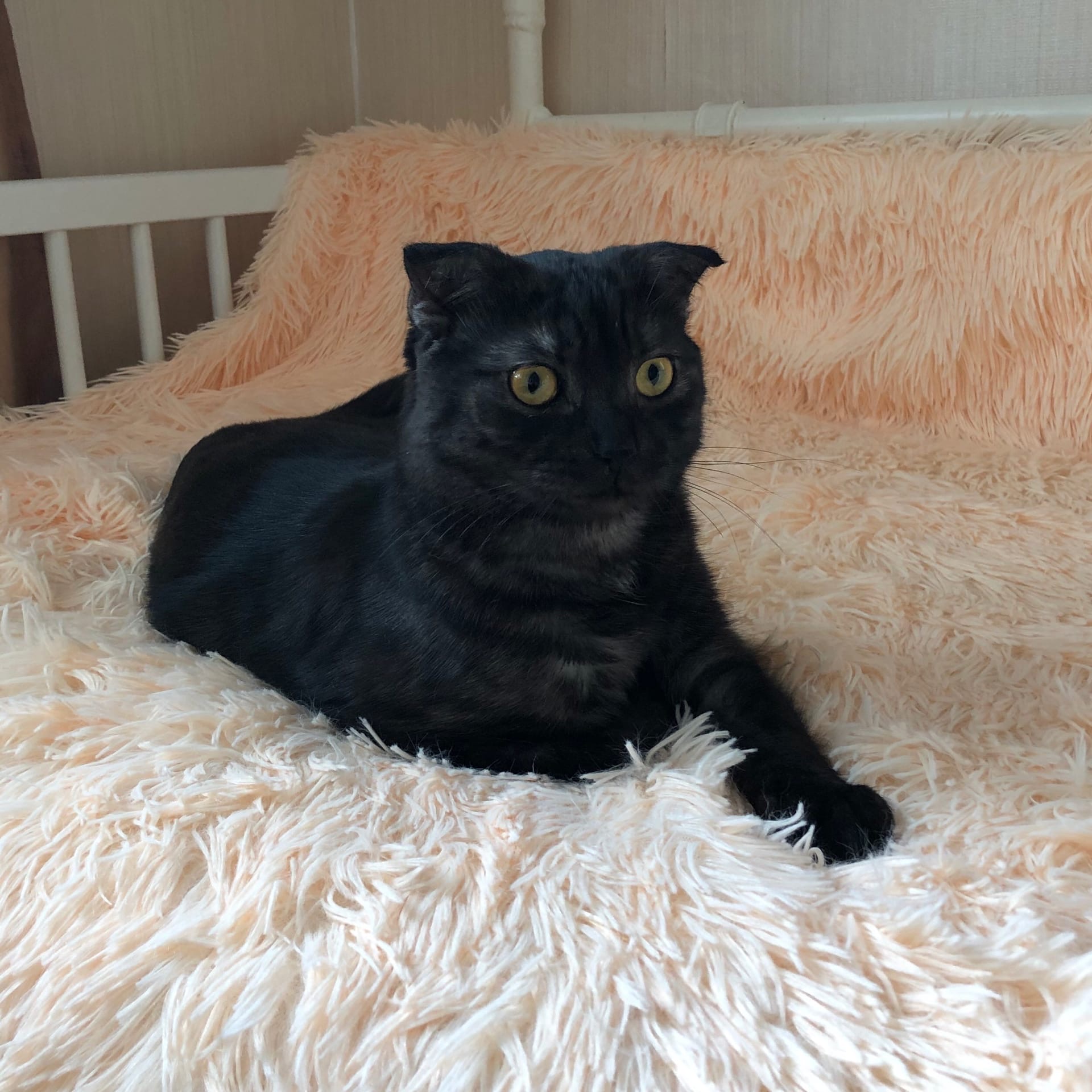 Здесь буду спать только я