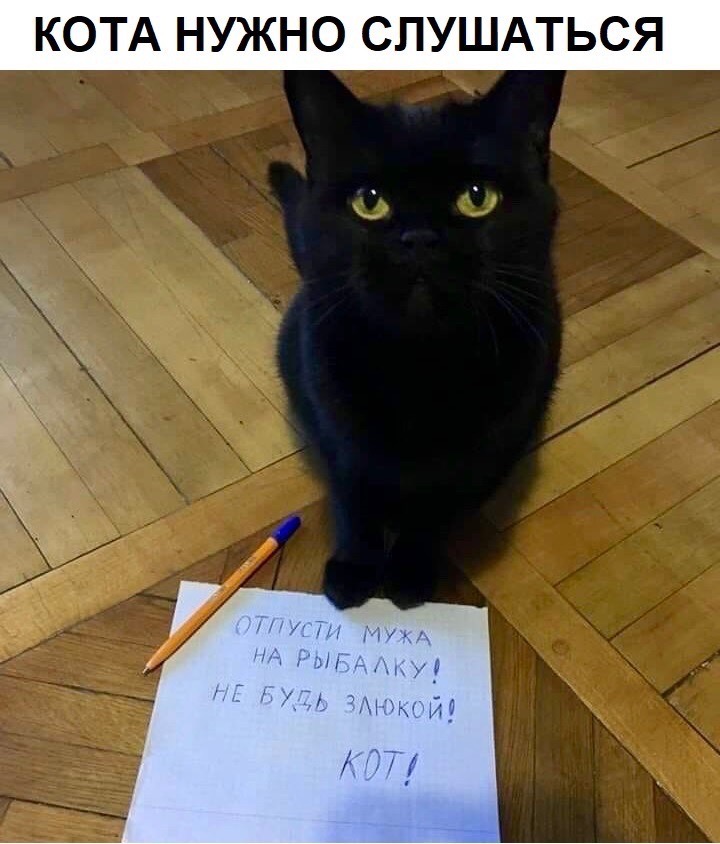 Настоящий друг