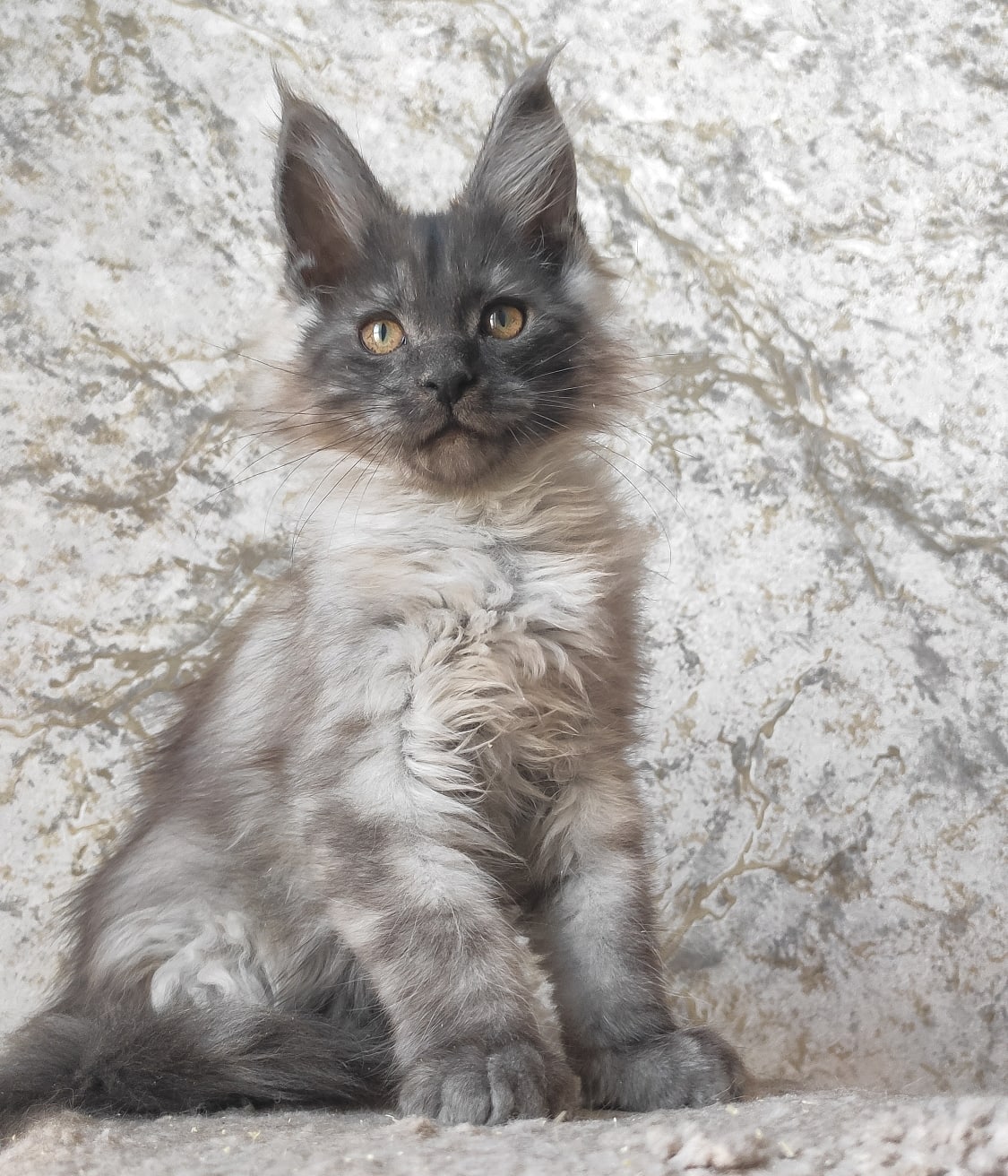 Я уже спрятался