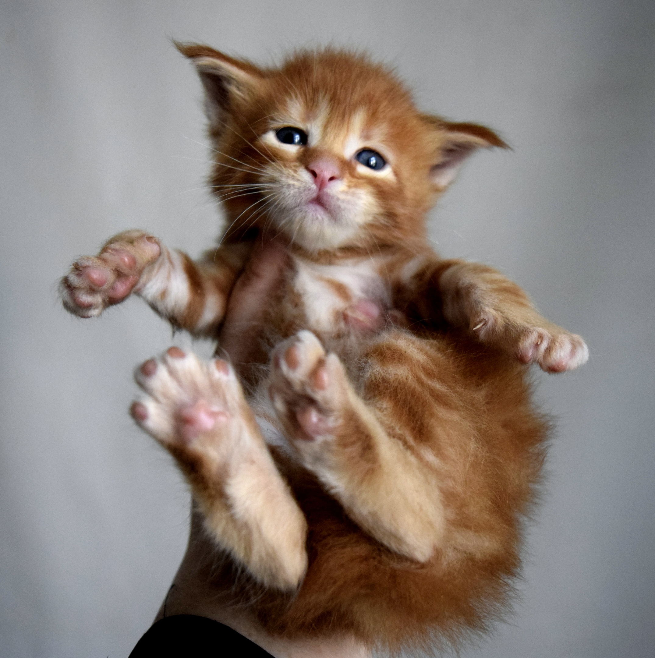 Ну что меня все трогают