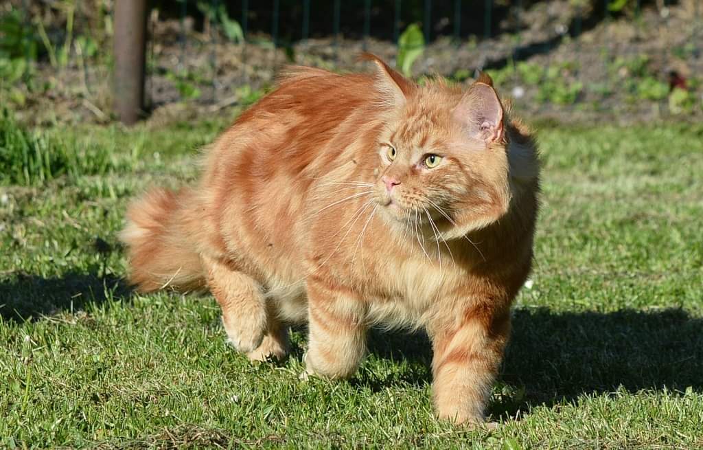 Нарушители не замечены