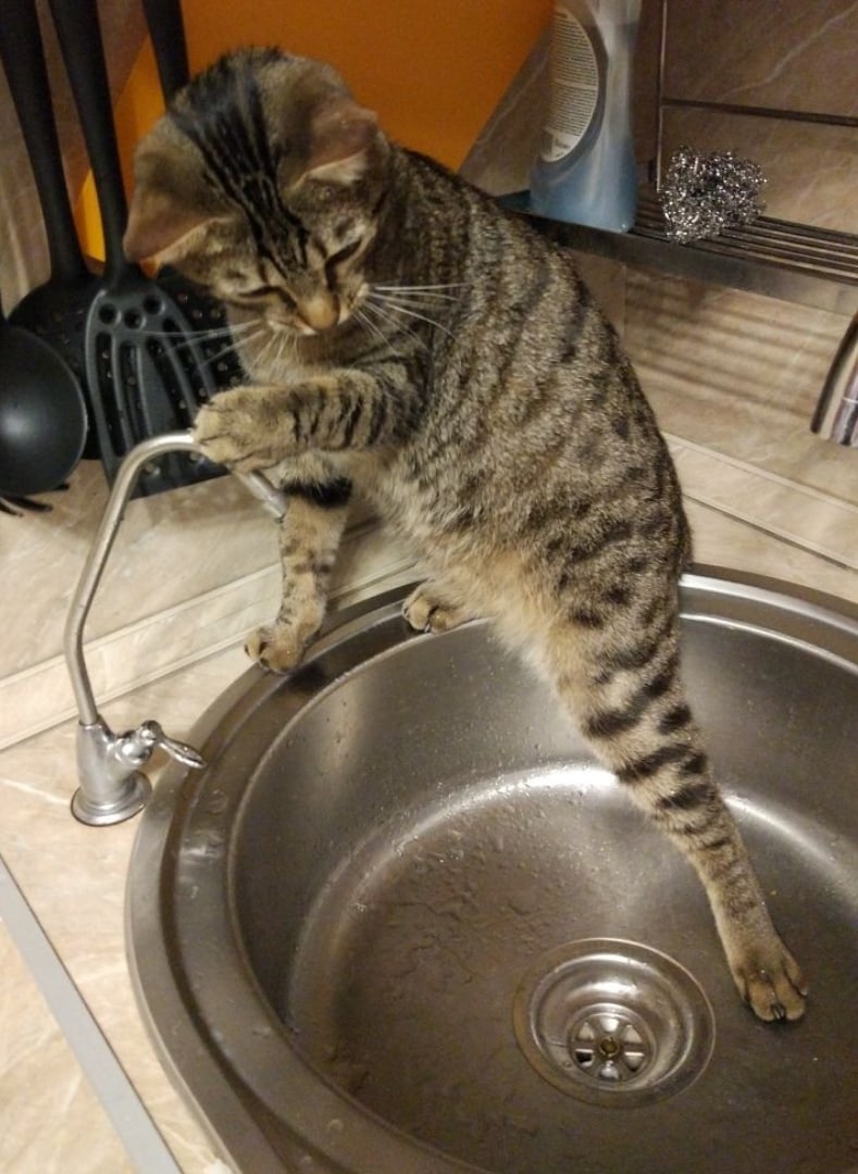 Куда водичка девается