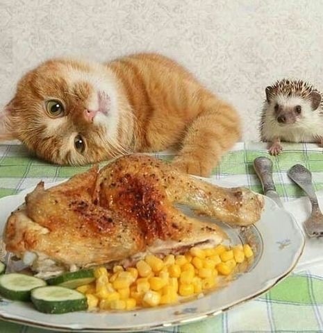 Ты бы со мной поделился