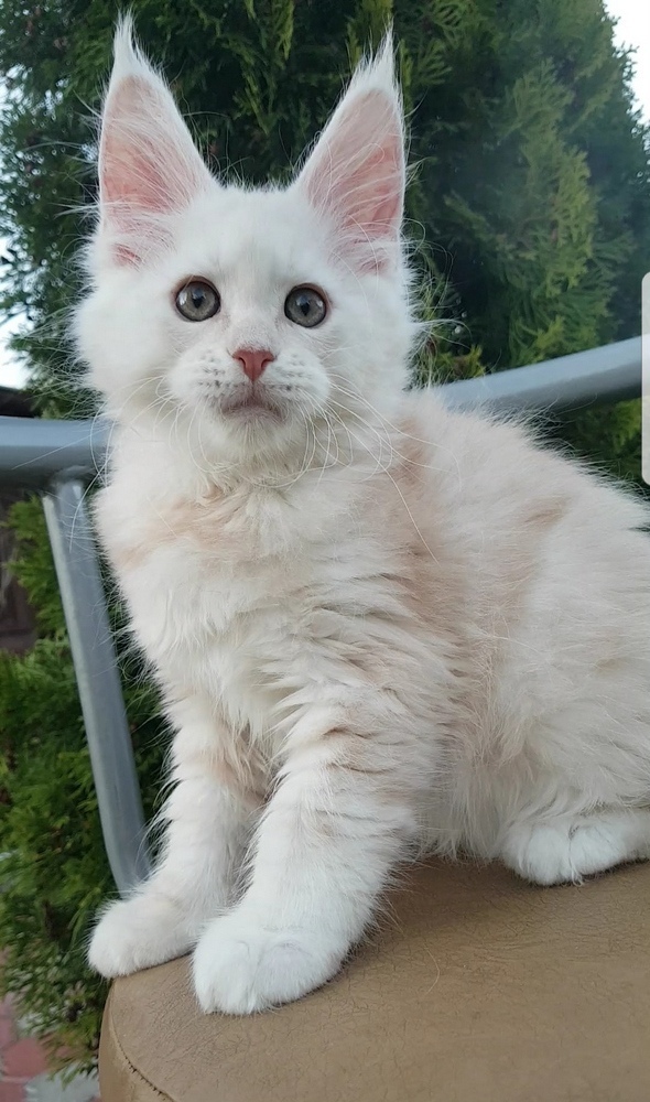 Я ещё не нагулялся