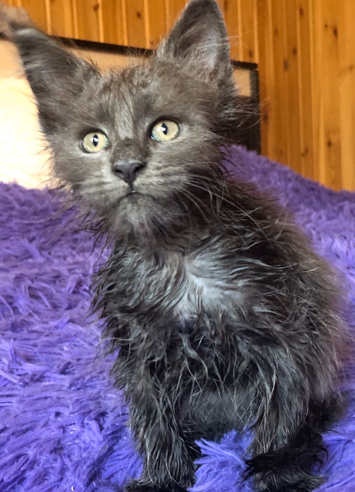 Накупали, теперь сушите