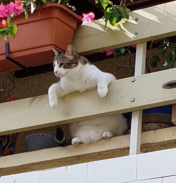 Хорошо жить