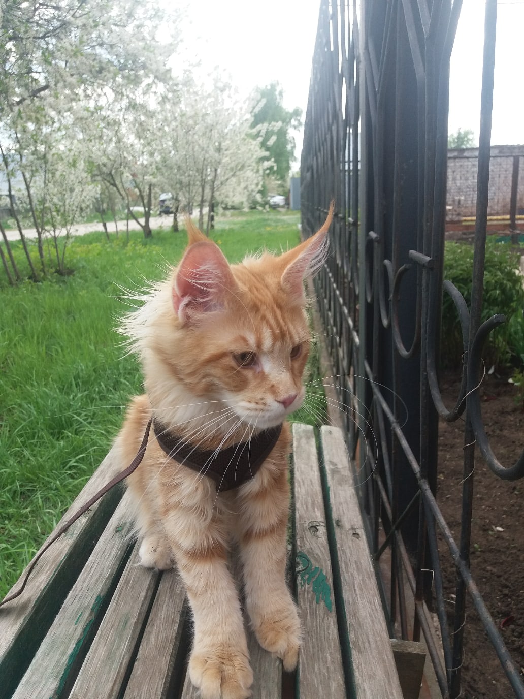 Скучно гулять