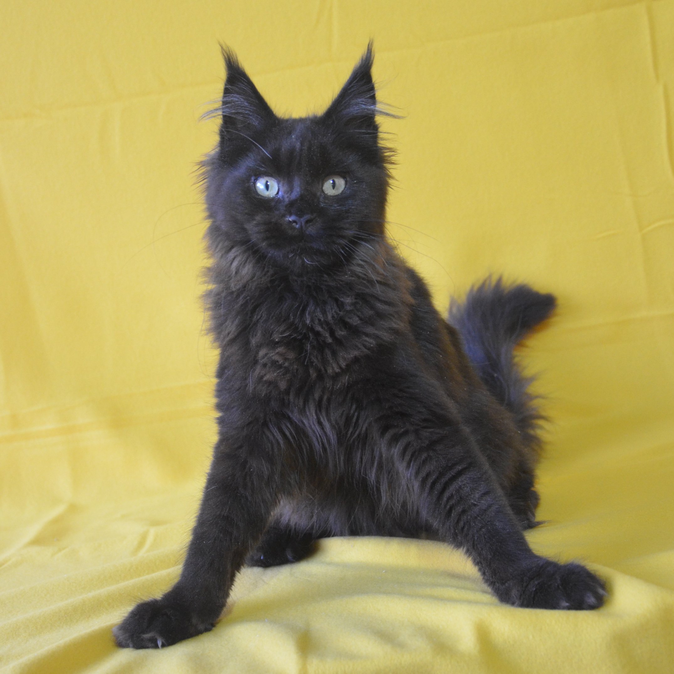 Поза номер десять