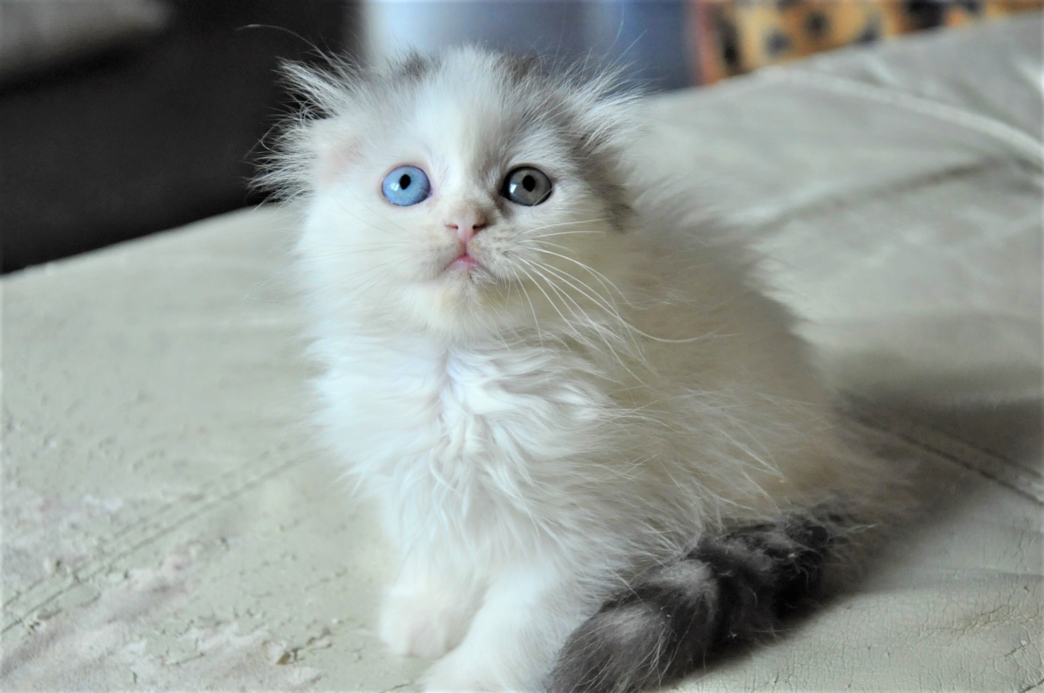 Не ругайте меня