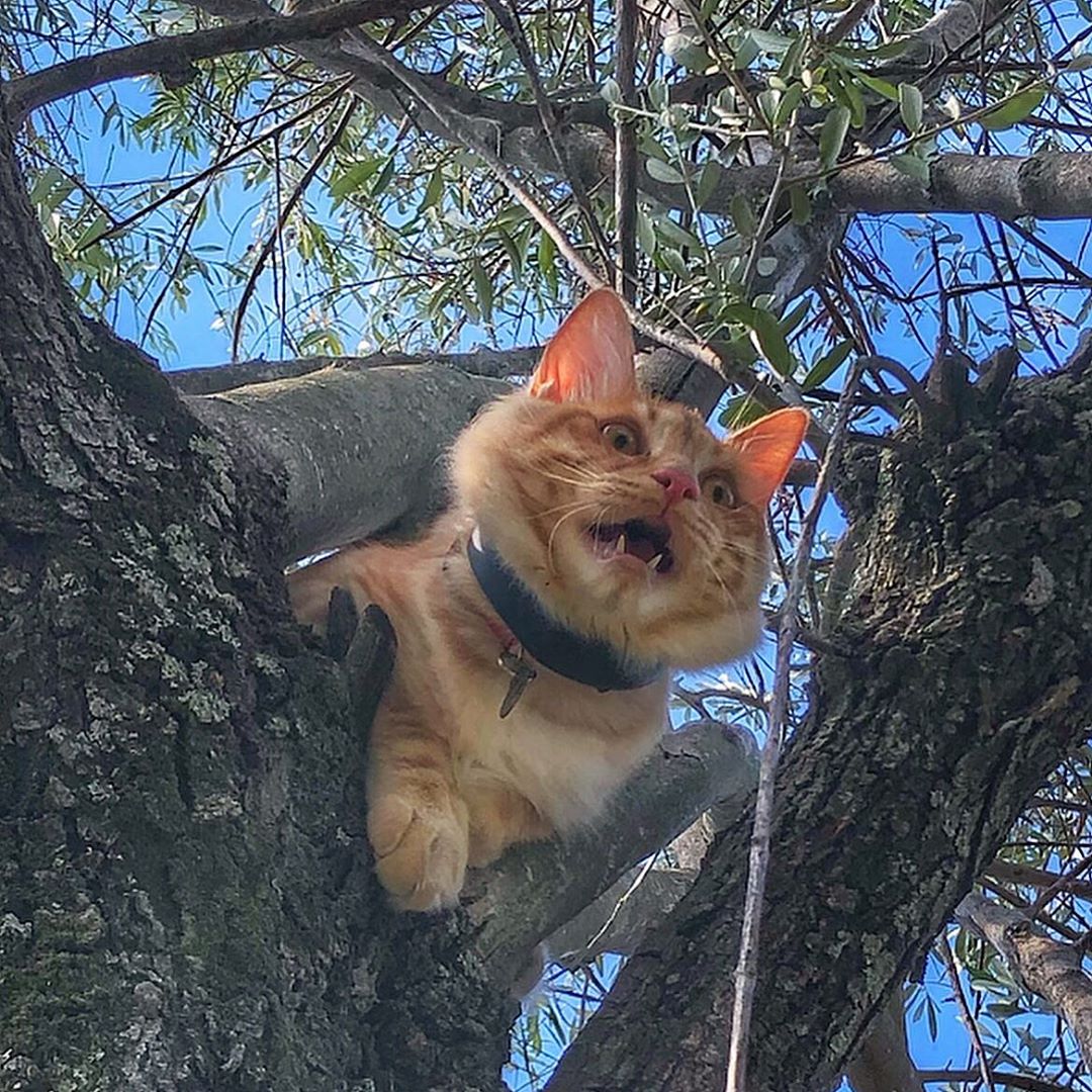 Вызывайте спасателей