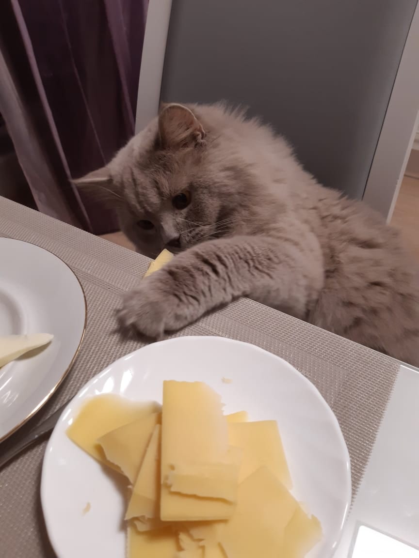 Если не угощают, сама возьму