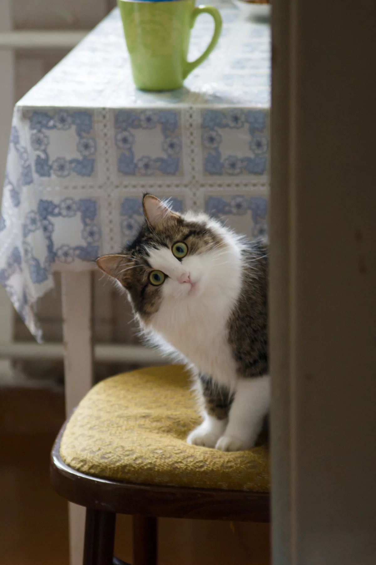 Завтракать пора, что так долго спите