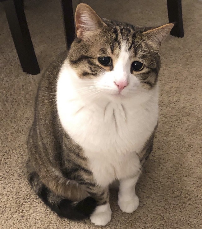 Сегодня я грущу