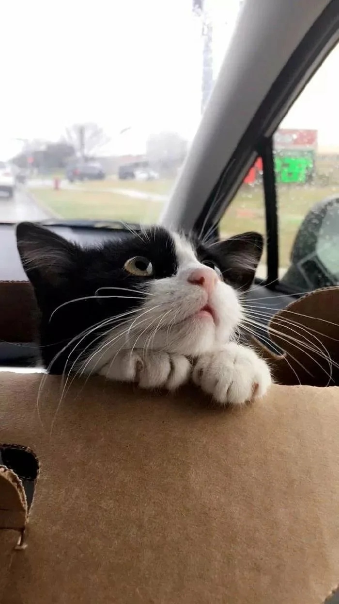 Интересно, какой сюрприз мне хотят устроить