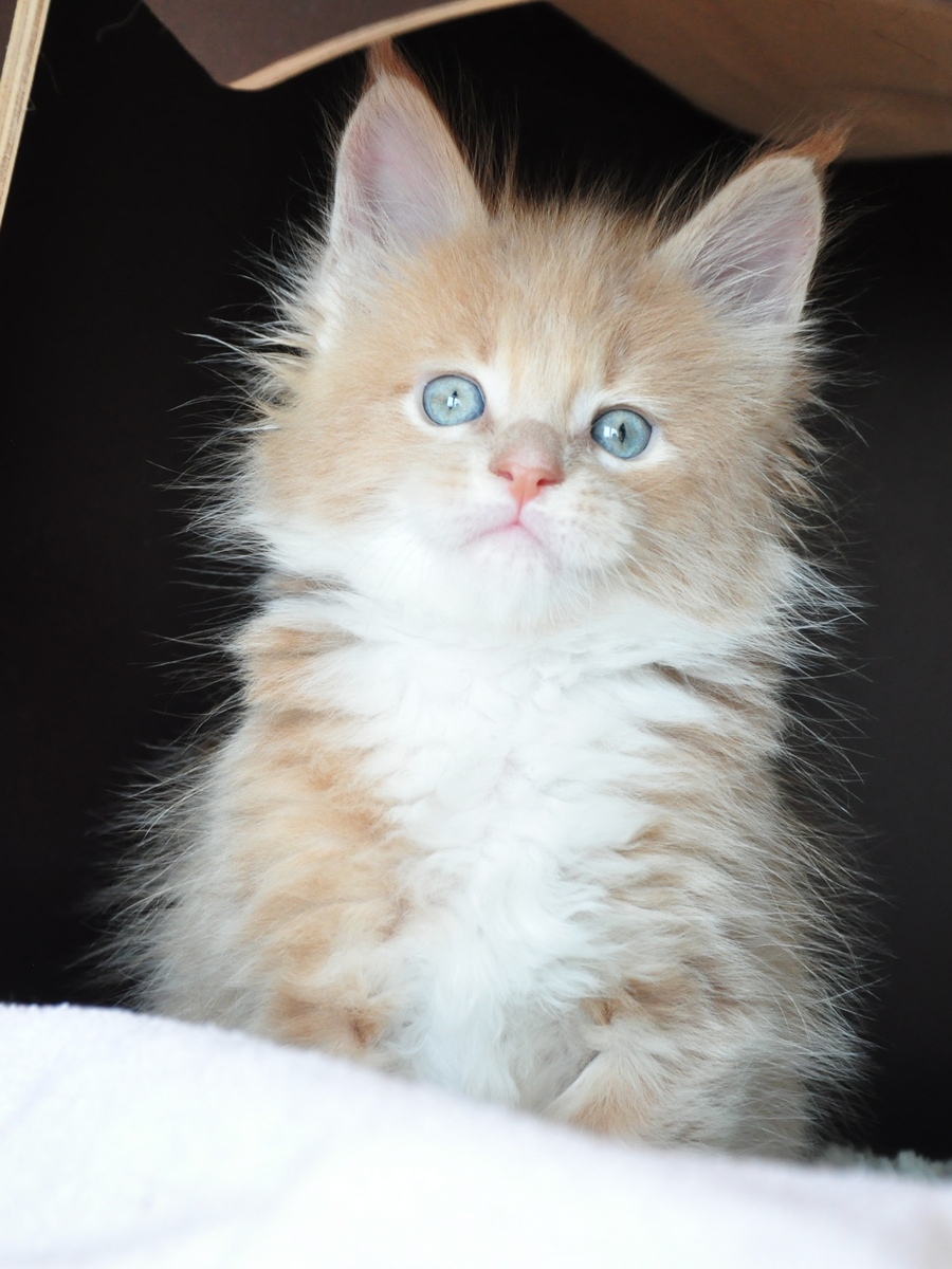 Солнечный антидепрессант