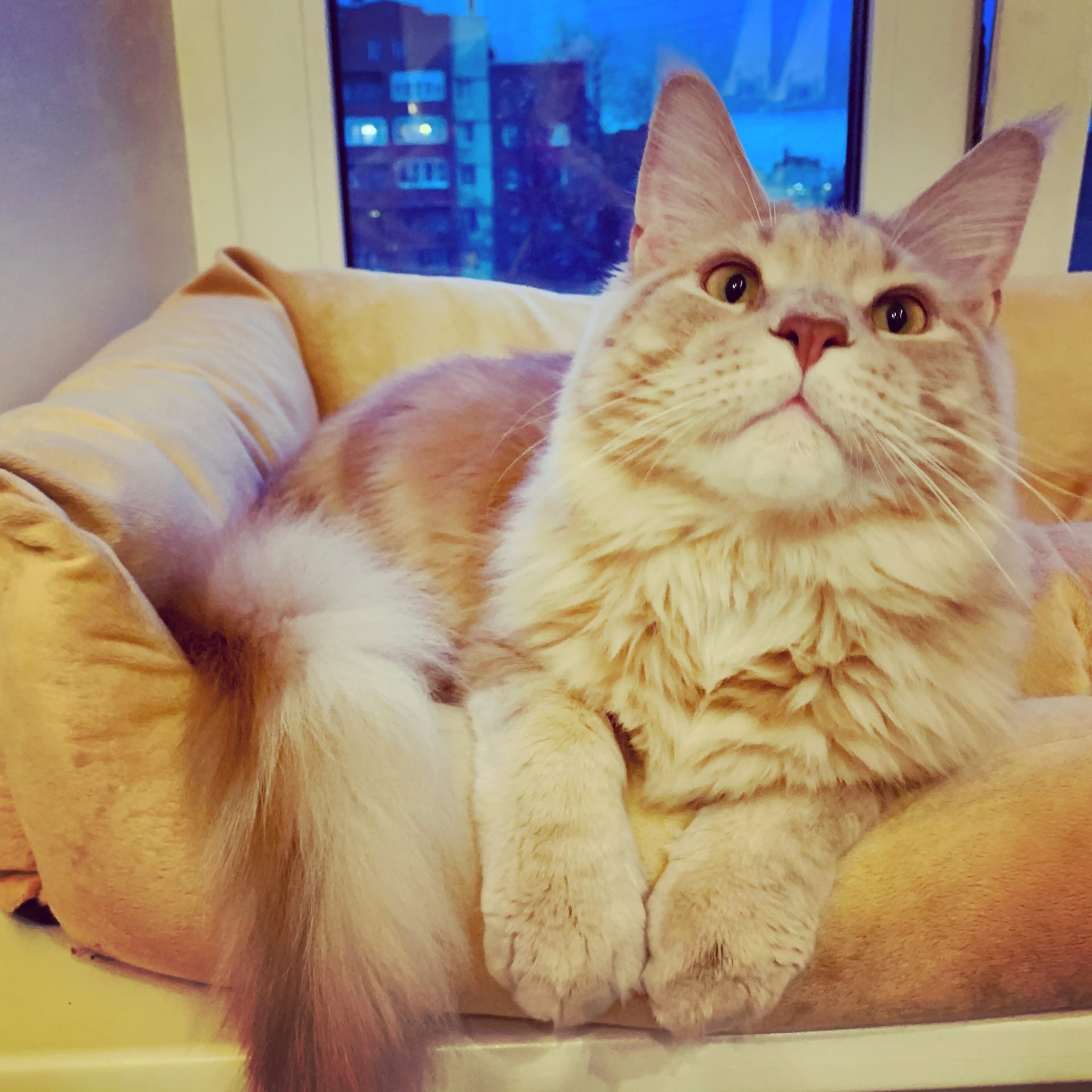 Принесите мне еду сюда