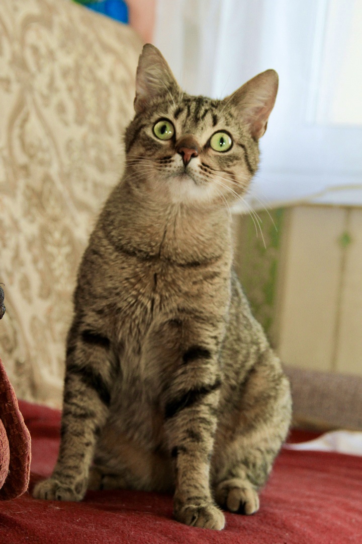 Вы не меня ищите