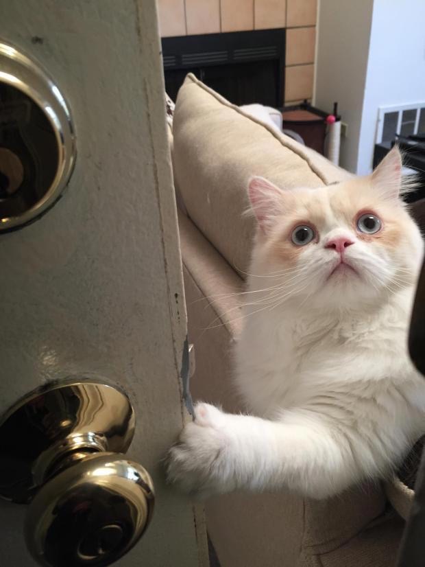 Вы кто, я Вас незнаю