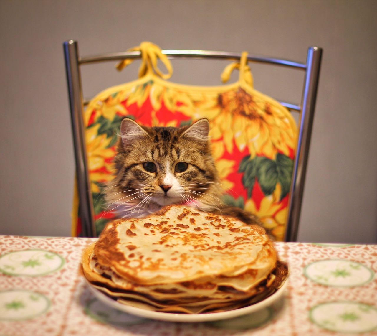 Может попробовать один блинчик