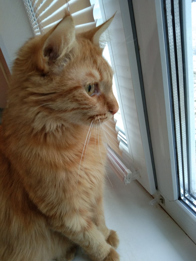 Родные, идите быстрее домой