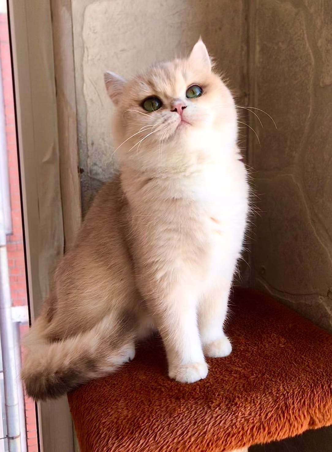 Фоткайте быстрее, пока разрешаю