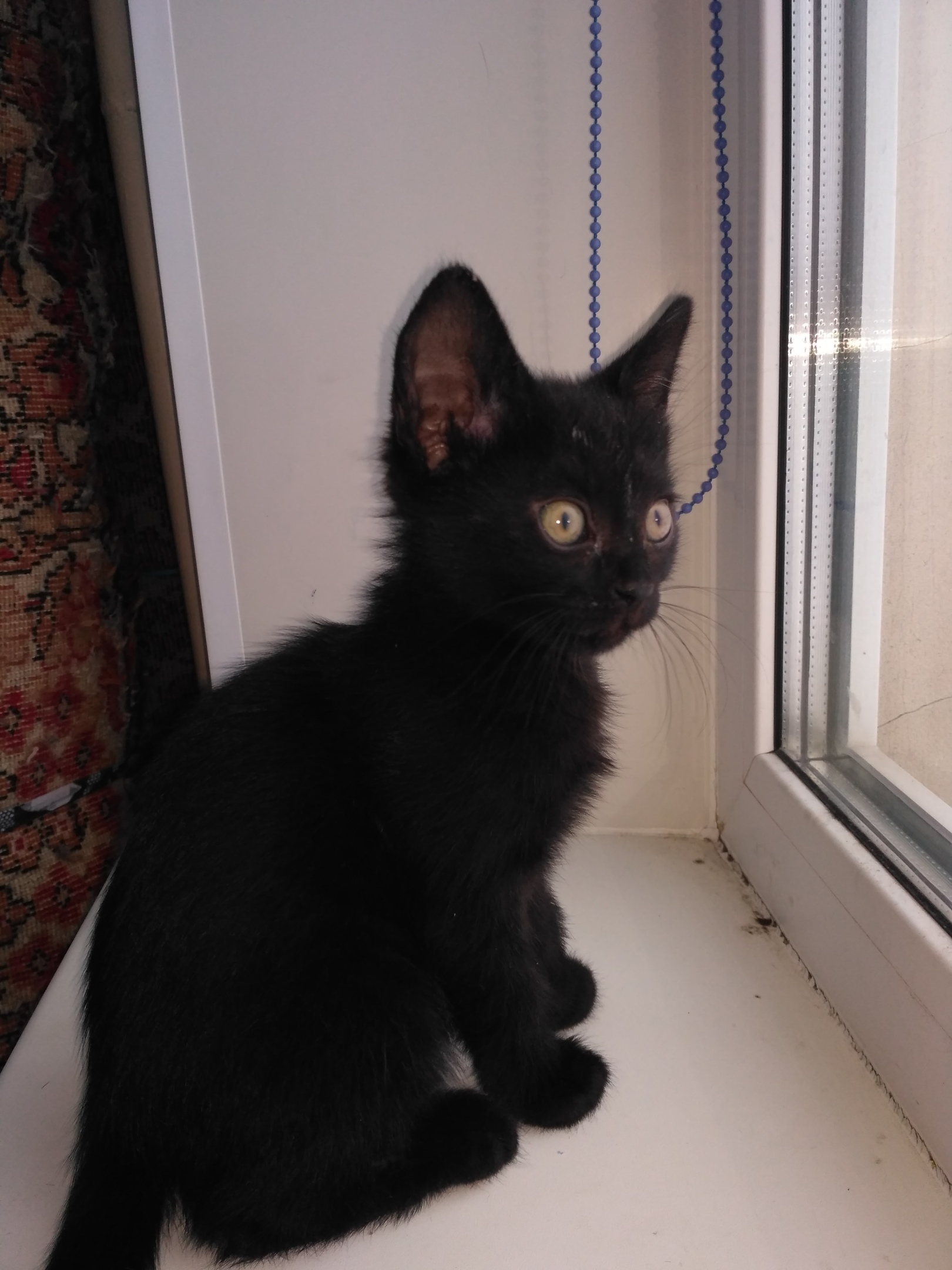 Ох, смотрю и удивляюсь