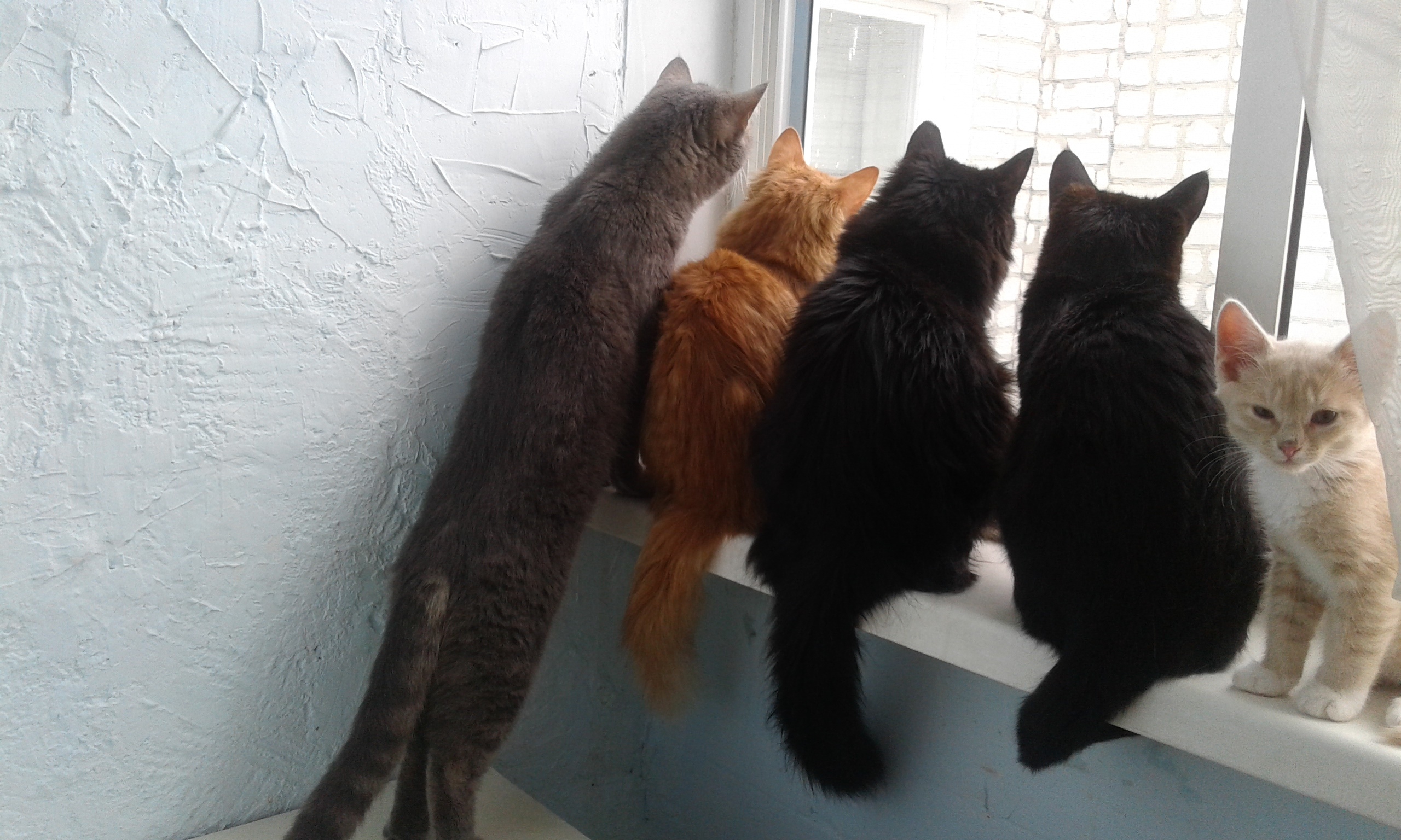 Что я там не видел