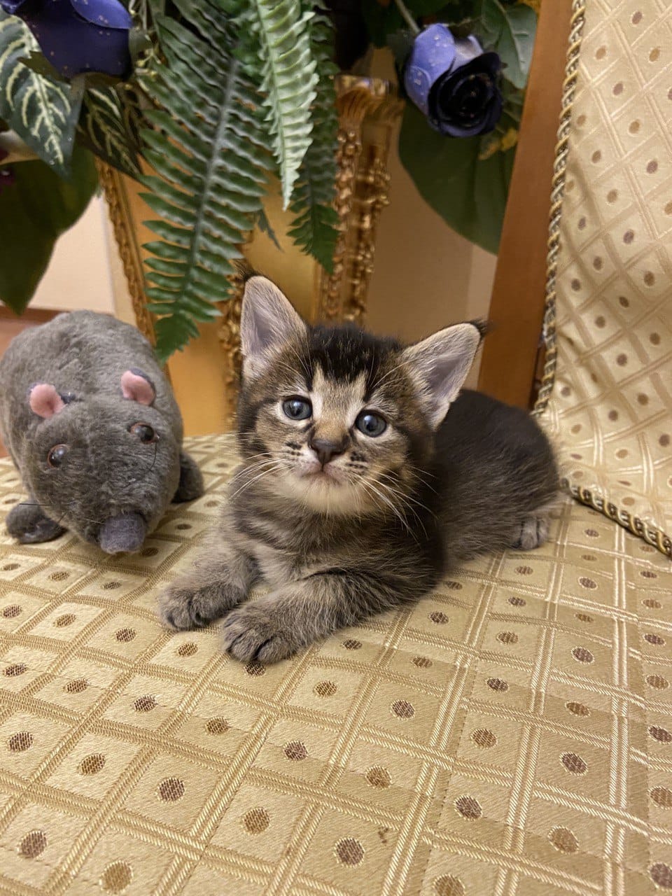 Друзья симпатяги