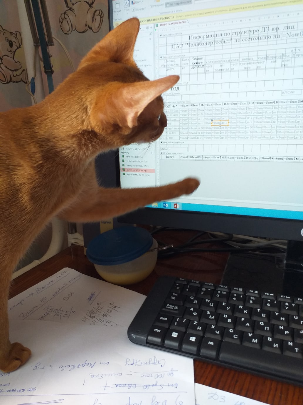 Хозяин, я ошибку нашёл