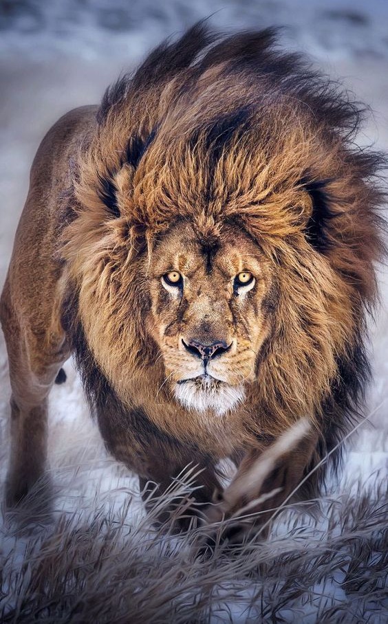 Как охотиться в такую погоду