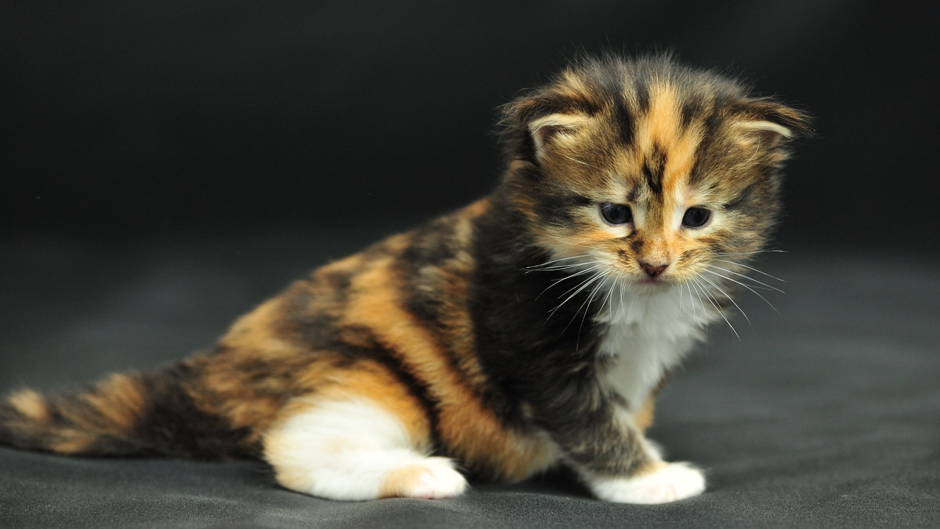 А мне будет удобненько здесь