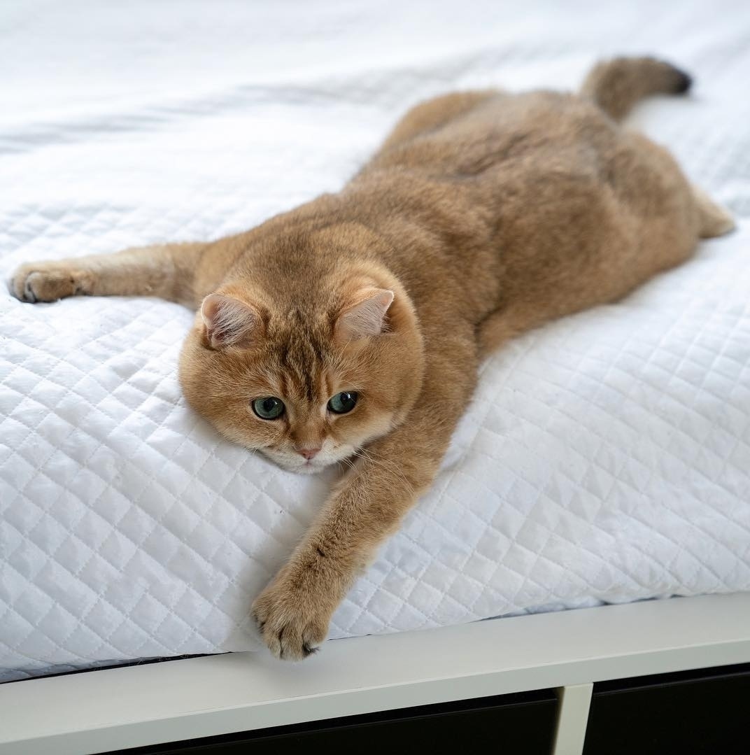 К массажу готова