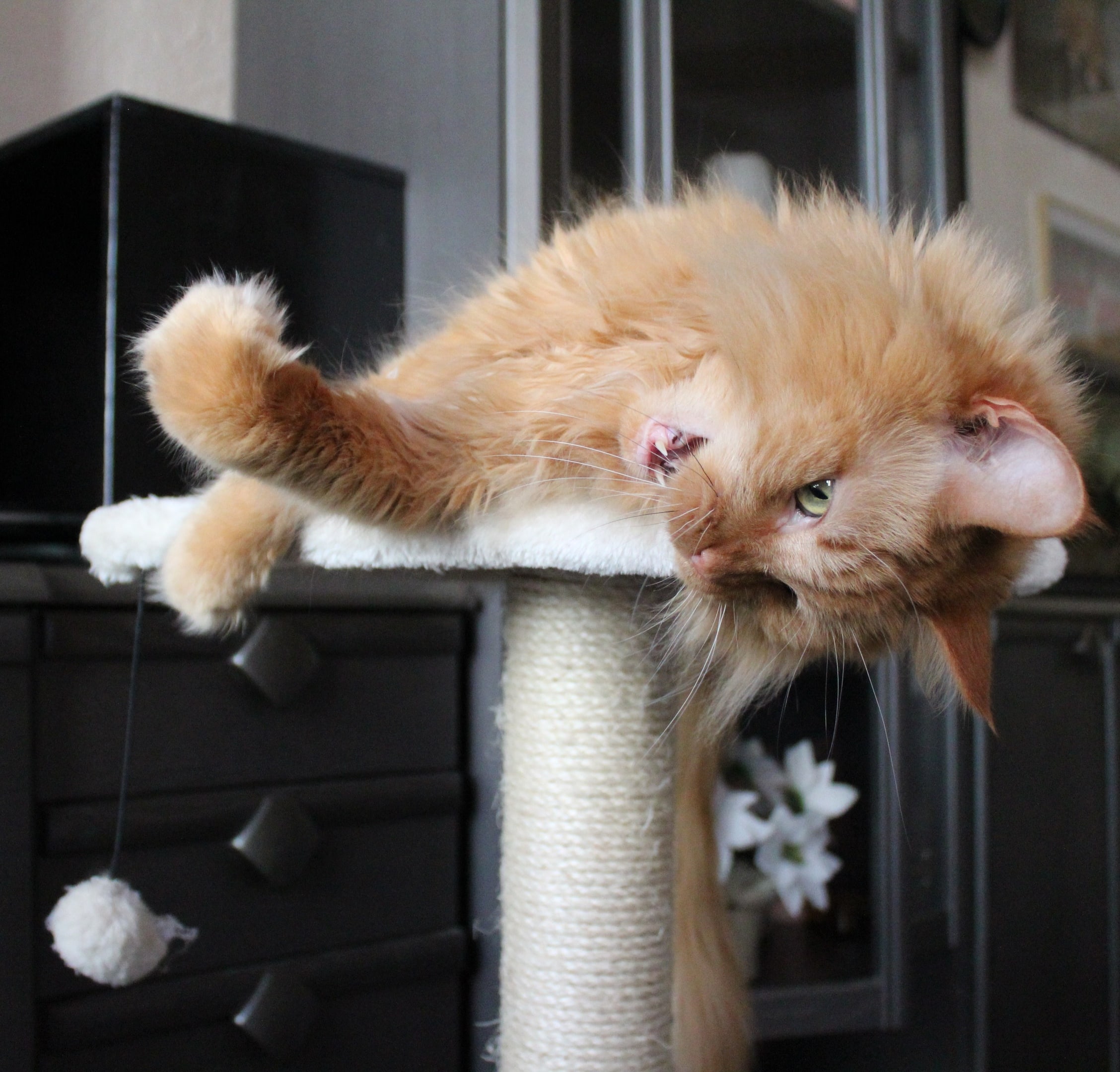 Мне и одному весело