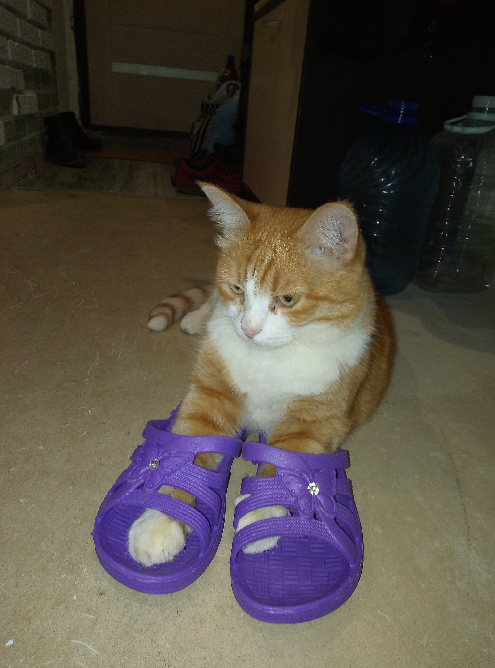 Я и шлёпки одел, а гулять никто не берёт