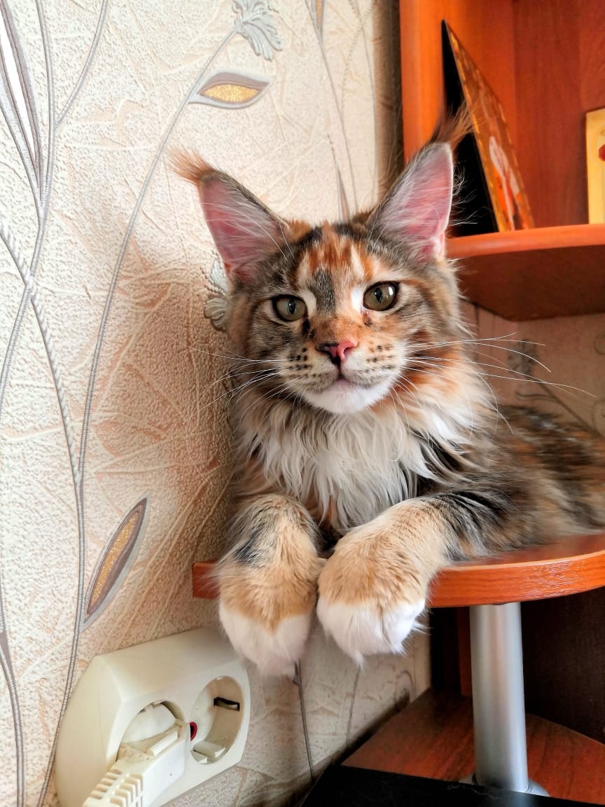 Не забывайте выключать электроприборы