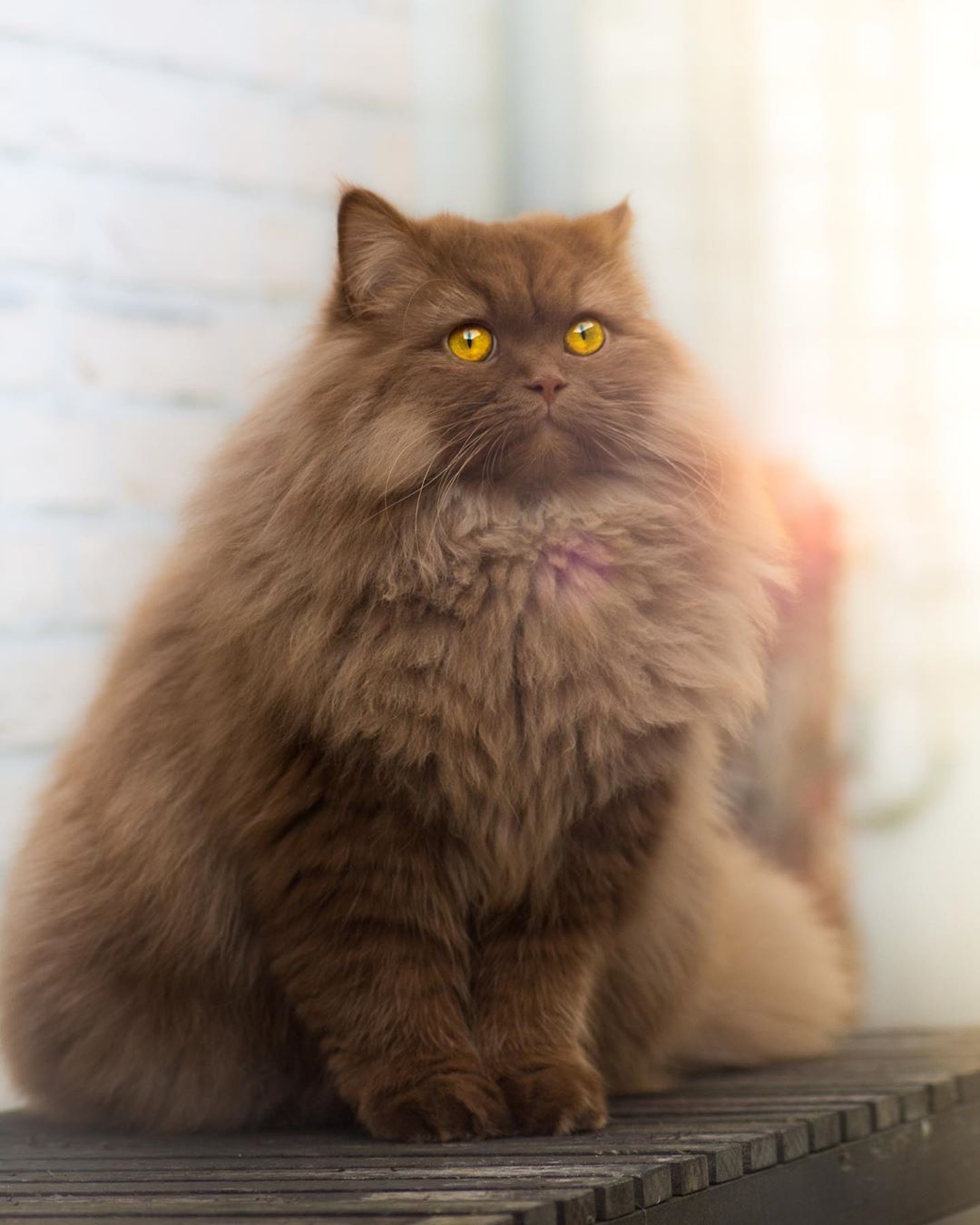 Может на зимний курорт рвануть