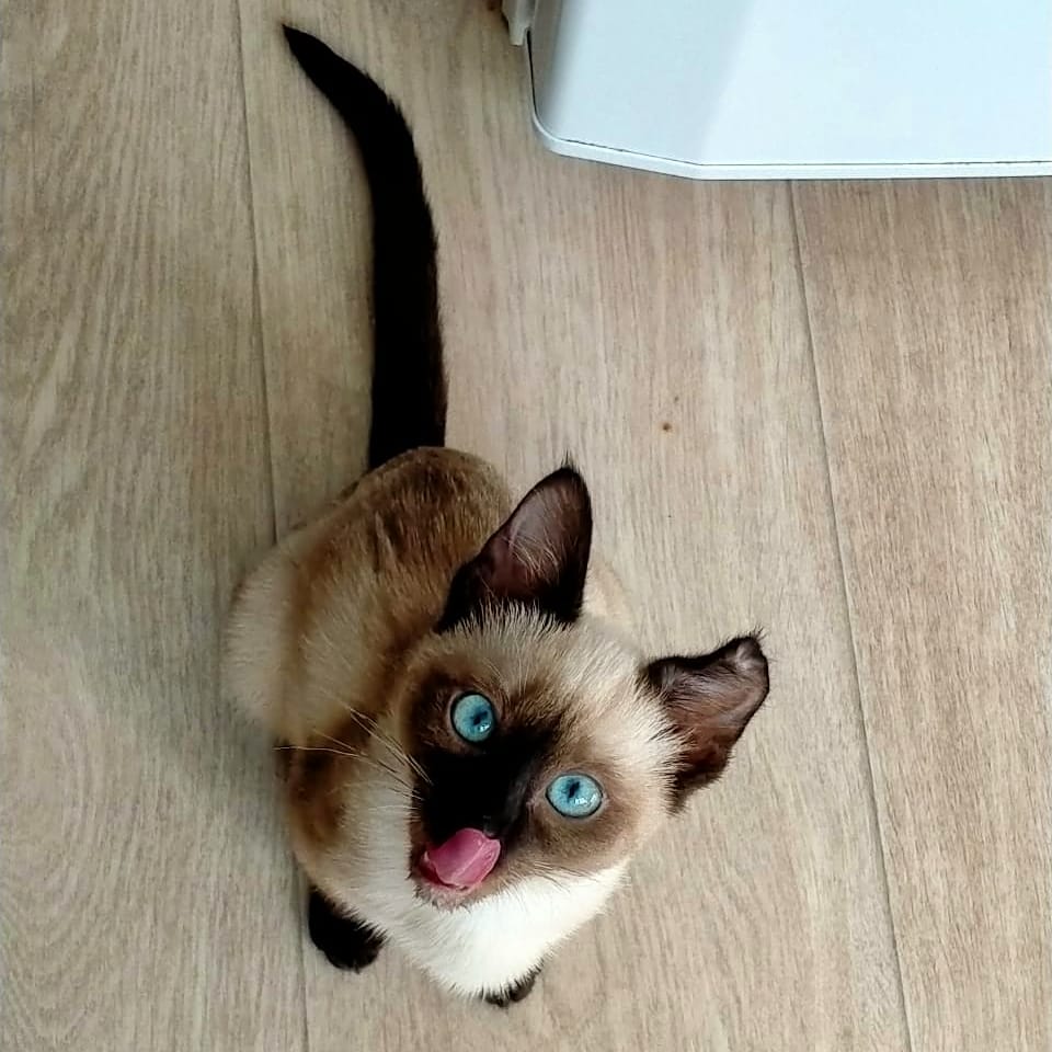 Давайте кормите меня