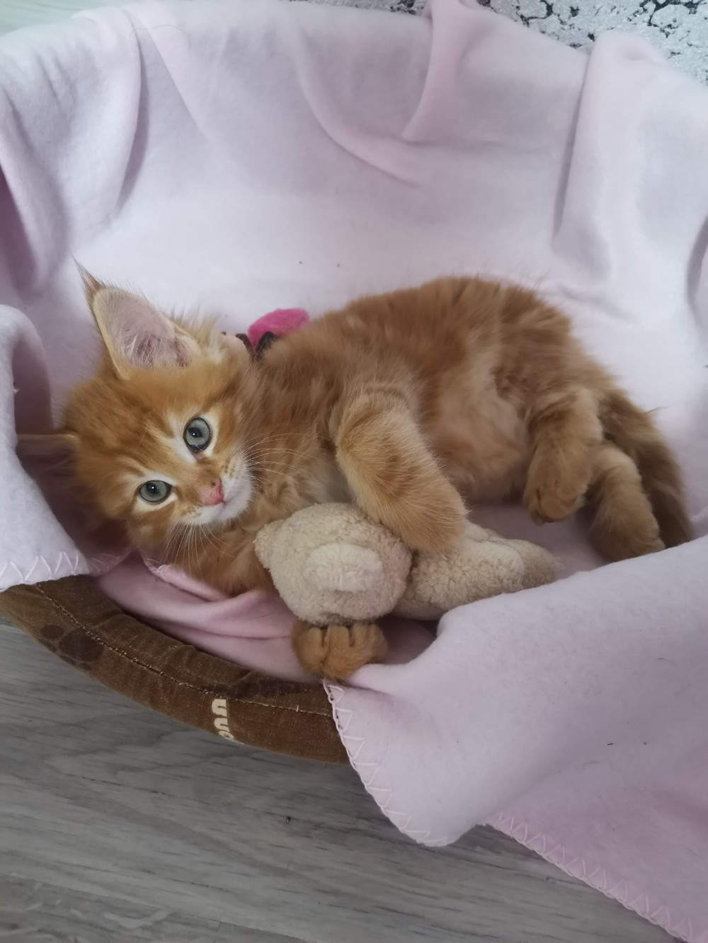 Рыженький лялька