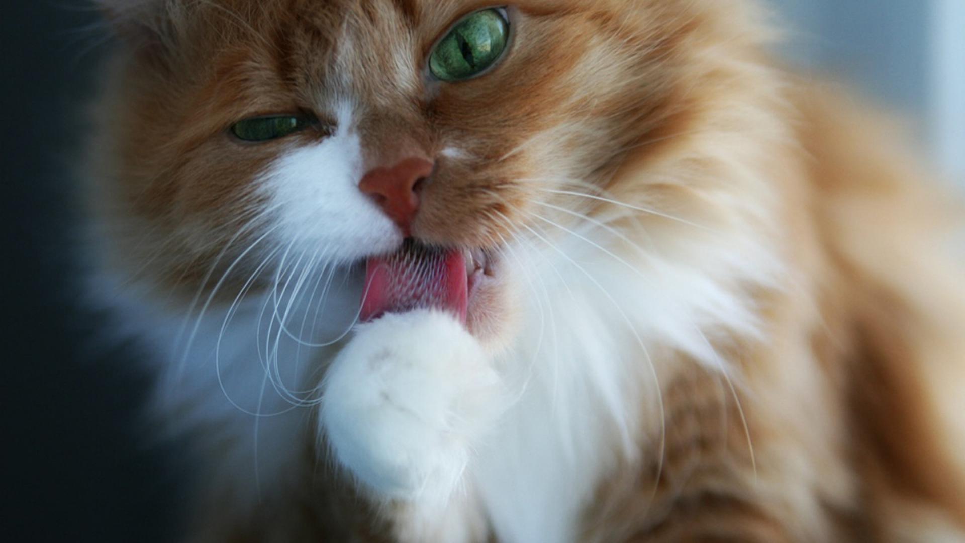 За красотой надо ухаживать