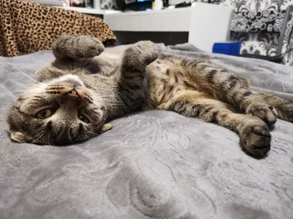 Люблю валяться