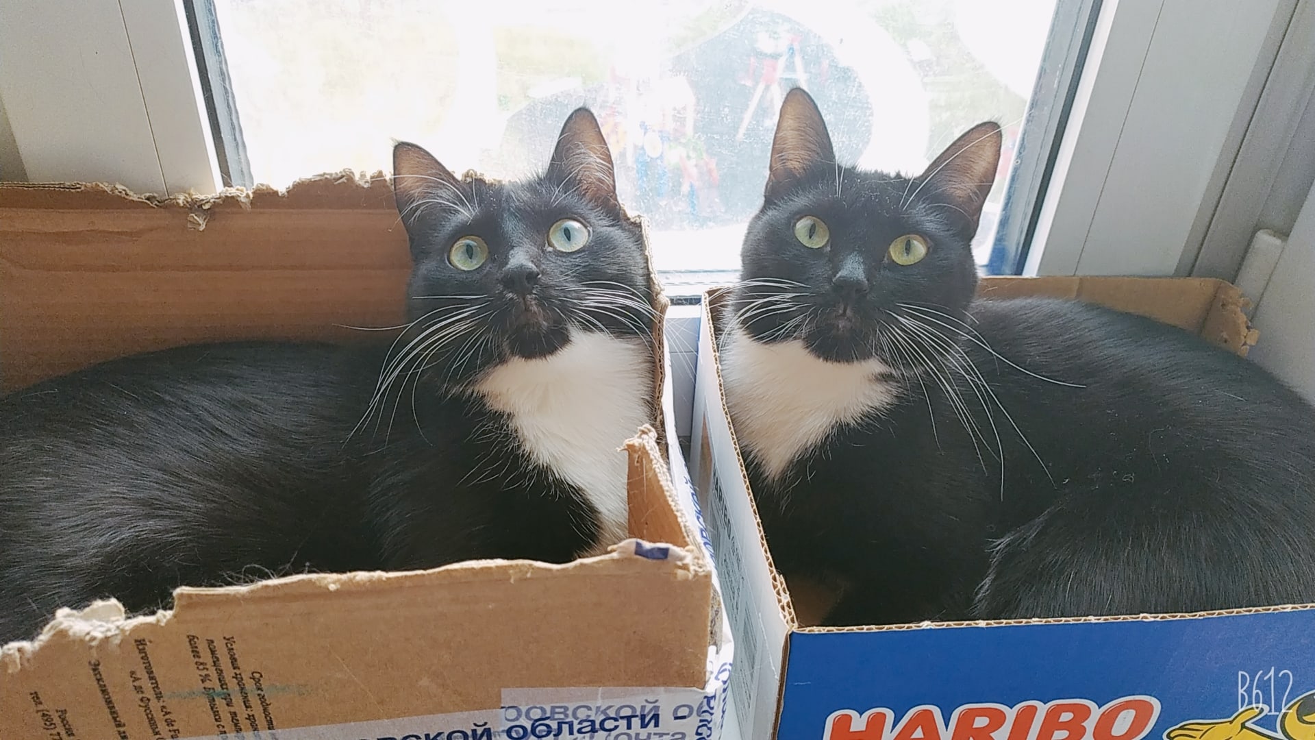 Давайте всё поровну